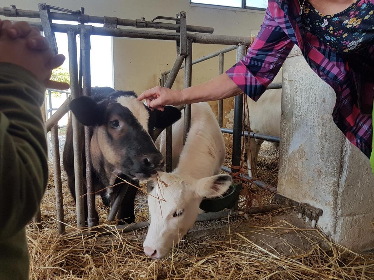 Farm stay La Fattoria