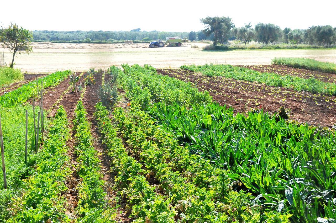 La Fattoria Otranto